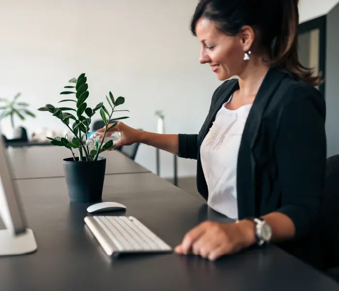 Woman watering a plant