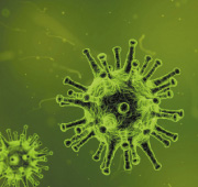 Bakterie i wirusy
